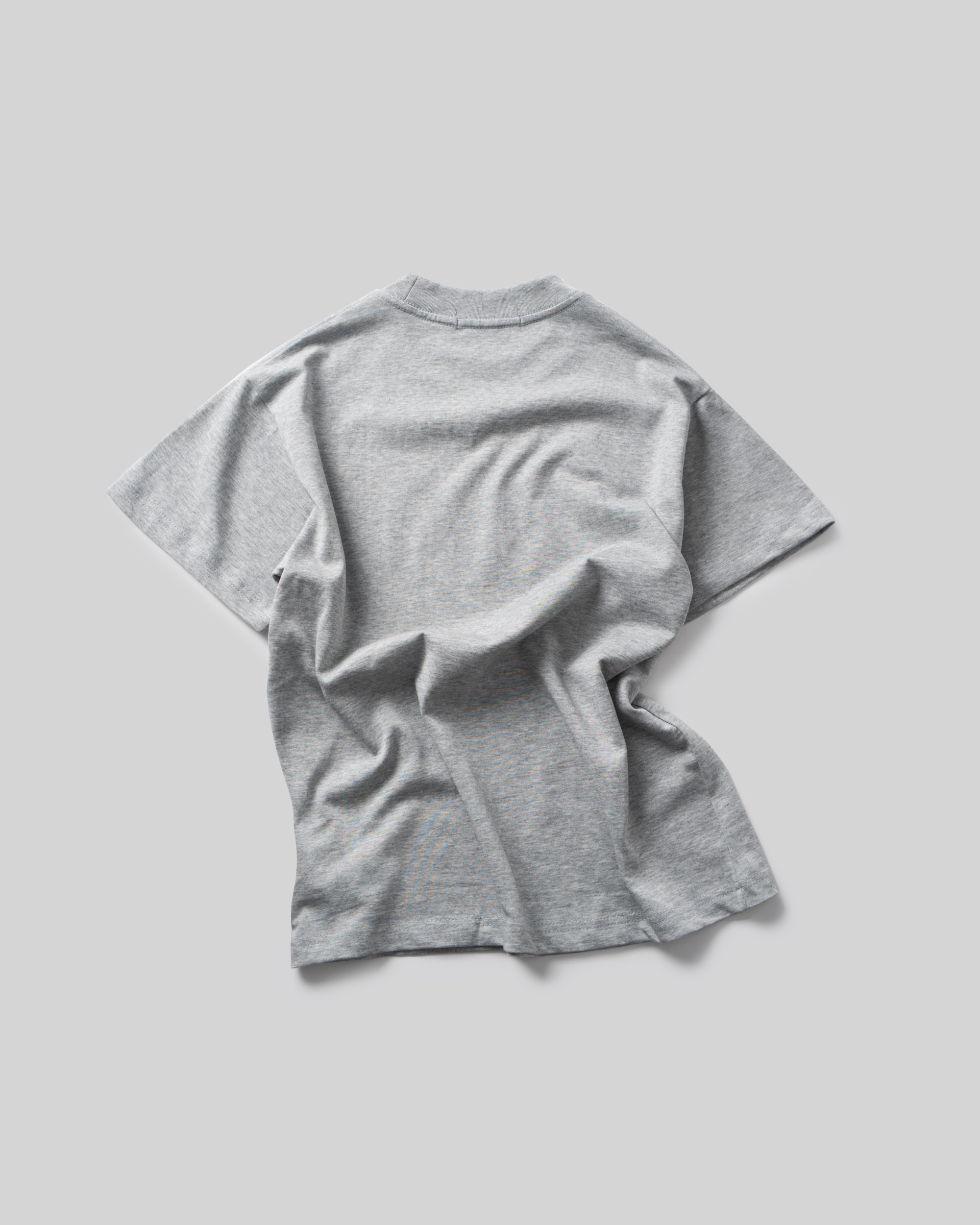 RDW 1080 BASIC GRAY T-SHIRT